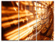"Fractal 3-D Brown Bold Tangle" Metal Wall Art, 3 Panels, 36"x28"