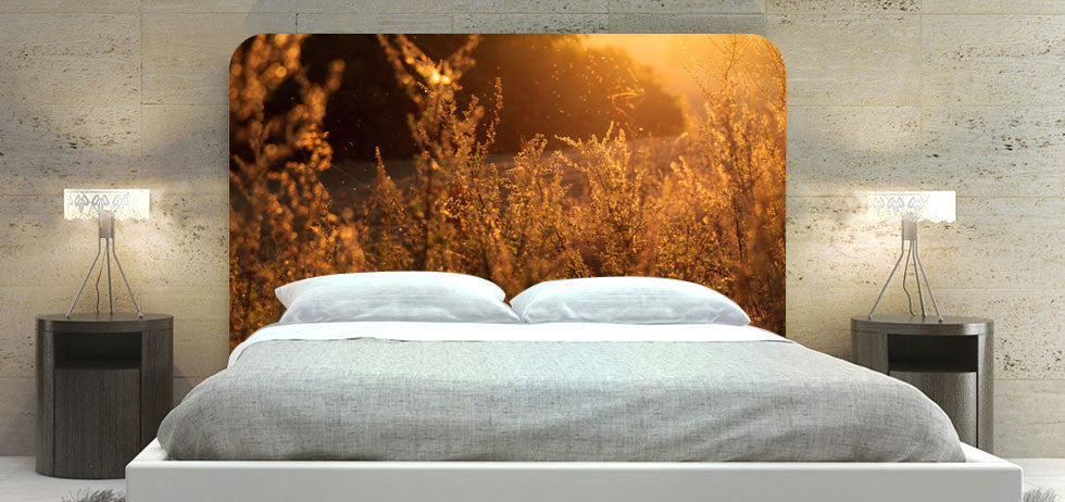 "Morning Sunny Field" Headboard