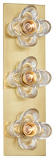 Shea 3-Light Bath Bracket, Aged Brass