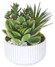 Succulents Arrangement With White Rocks, White Pot
