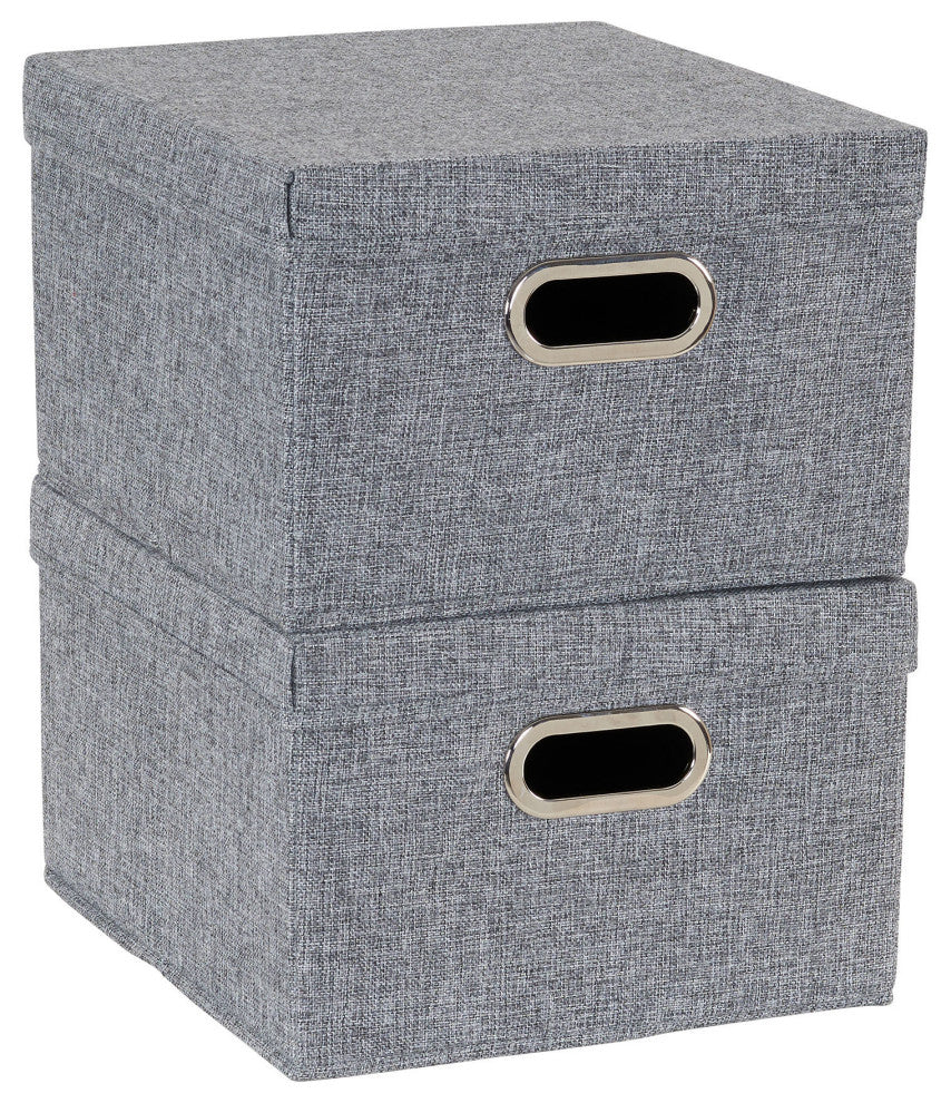 Storage Bins With Lids and Chromed Grommet Handles, Gray