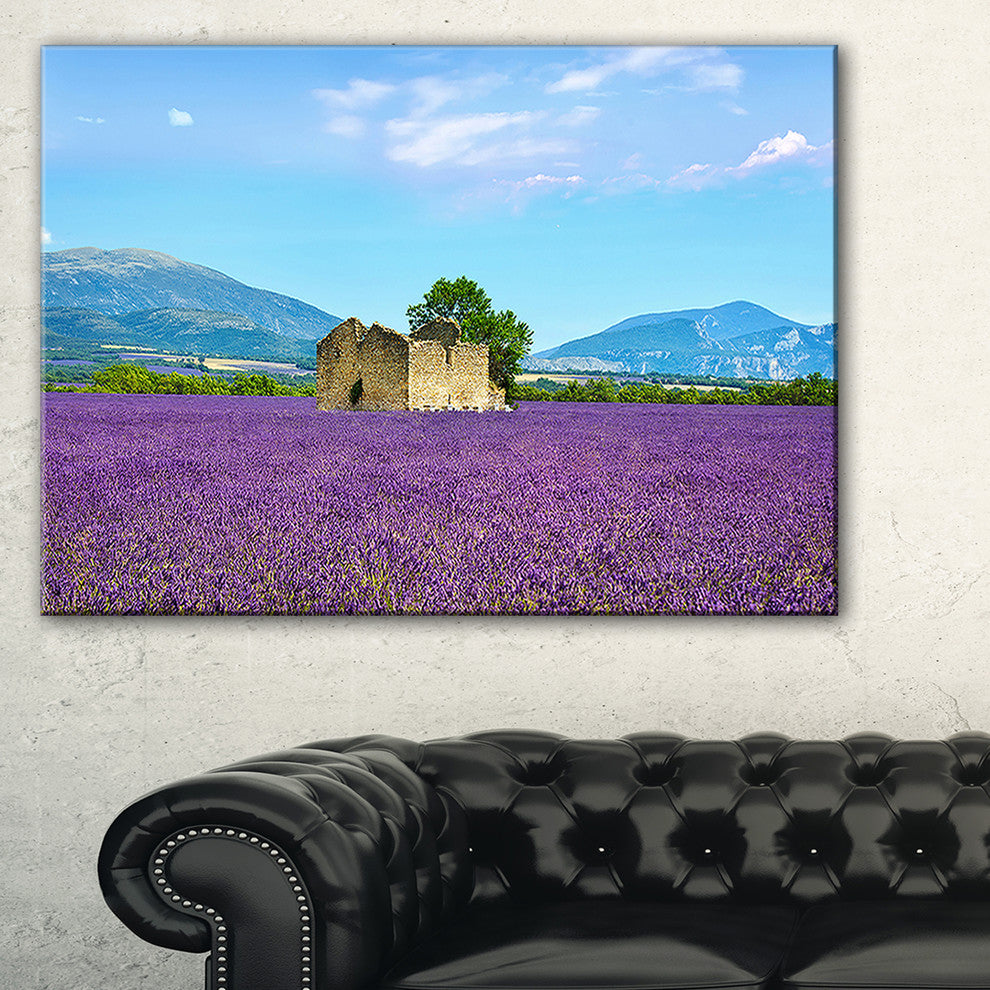 "Old House And Tree in Lavender Field" Landscape Wall Art, 40"x20"