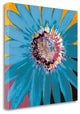 "Sunshine Flower II" By Leslie Bernsen, Giclee Print on Gallery Wrap Canvas