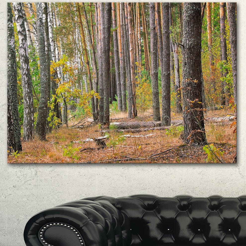 Green Fall Forest with Thick Woods, Modern Forest Canvas Art, 40"x30"