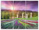 "Blooming Spring Tulips" Photo Canvas Art Print, 3 Panels, 36"x28"