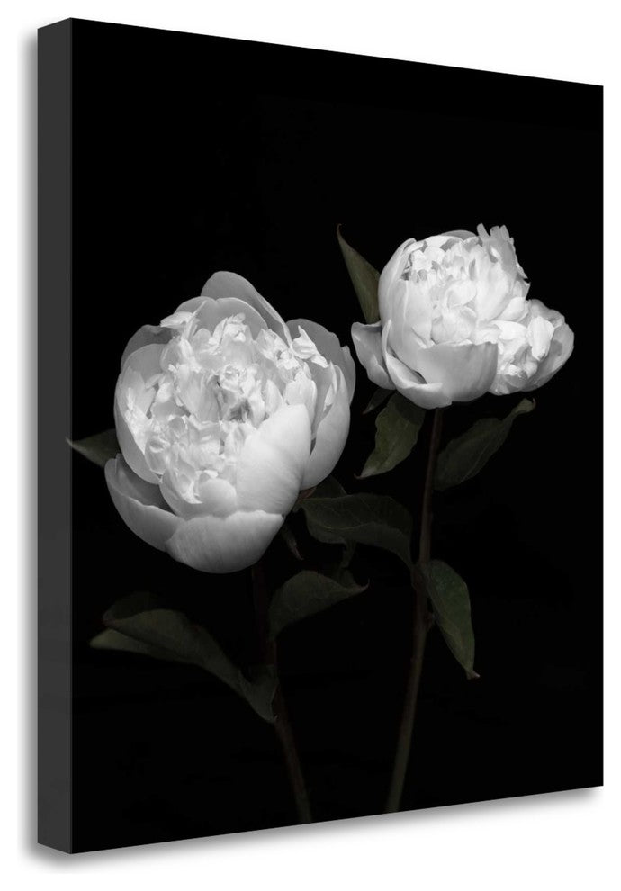 "Peony Perfection I" By Jeff Maihara, Giclee Print on Gallery Wrap Canvas