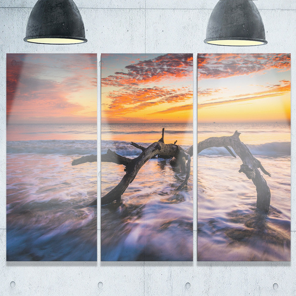 "Tree and Waves in the Atlantic Ocean" Metal Wall Art, 3 Panels, 36"x28"