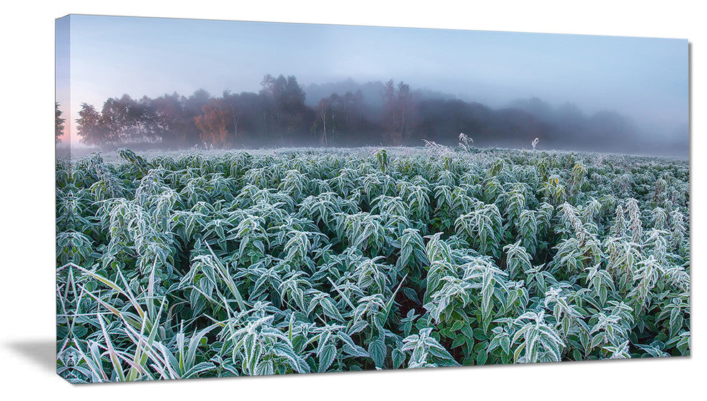 "Frozen Hemp Field in Autumn Morning" Landscape Wall Art, 1 Panel, 60"x28"