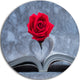Red Rose Inside The Book, Floral Art Large Disc Metal Wall Art, 23"