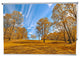 "Autumn Hilltop" Artwork, 5' Shade, Blackout, Left