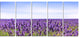"Close View of Lavender Flower Field" Landscape Wall Art, 5 Panels, 60"x28"