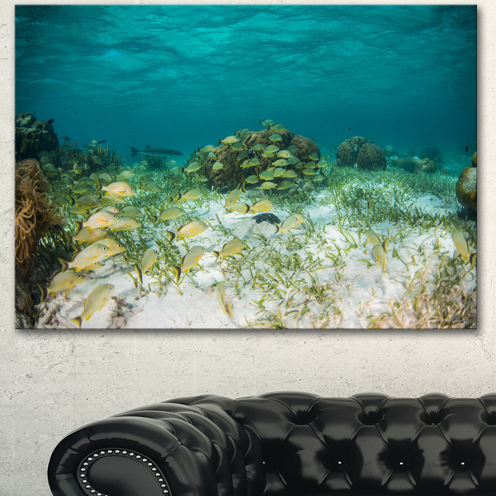School of Grunts with Baracuda, Seashore Canvas Art Print, 40"x30"