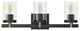 Farmhouse 3-Light Vanity Light Over Mirror With Clear Glass Shade, Black