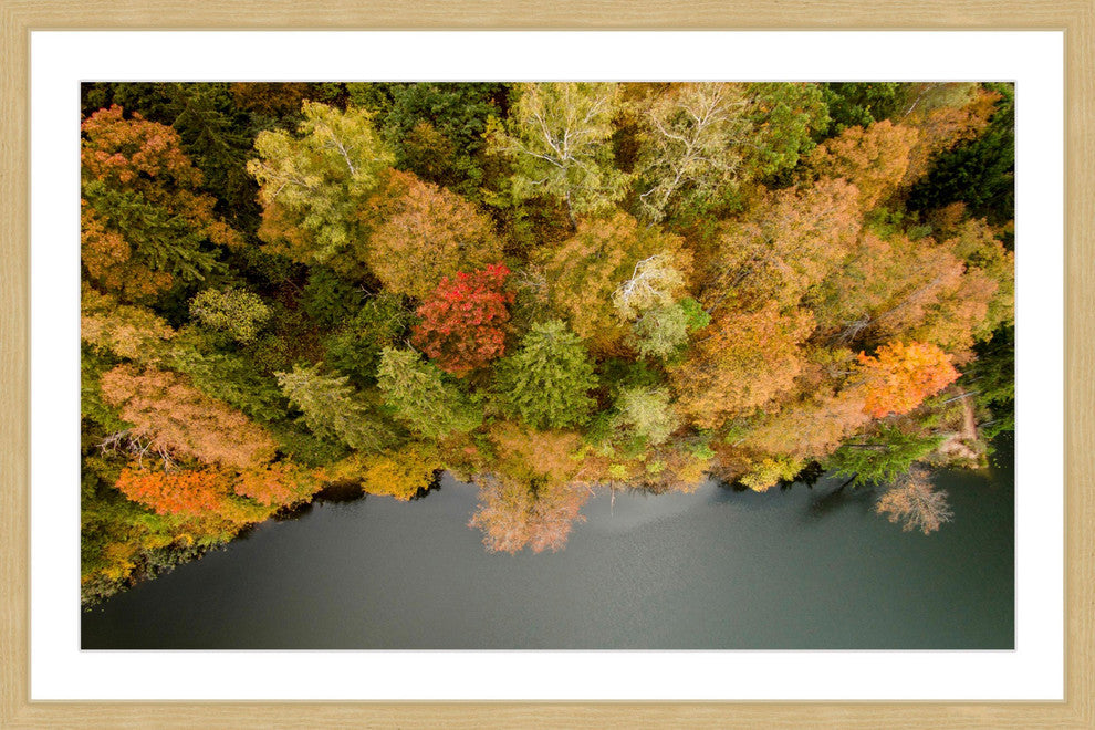 "Nature's Flora" Framed Print by Karolis Janulis
