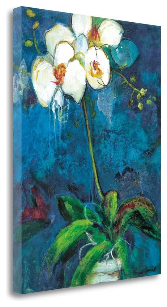 "Phalaenopsis I" By Connie Tunick, Giclee Print on Gallery Wrap Canvas