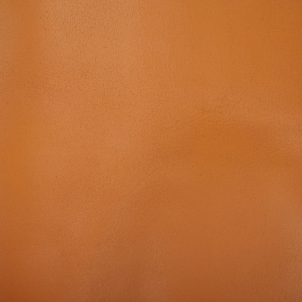 Safavieh Couture Alanarose Leather Accent Chair, Tan/Natural