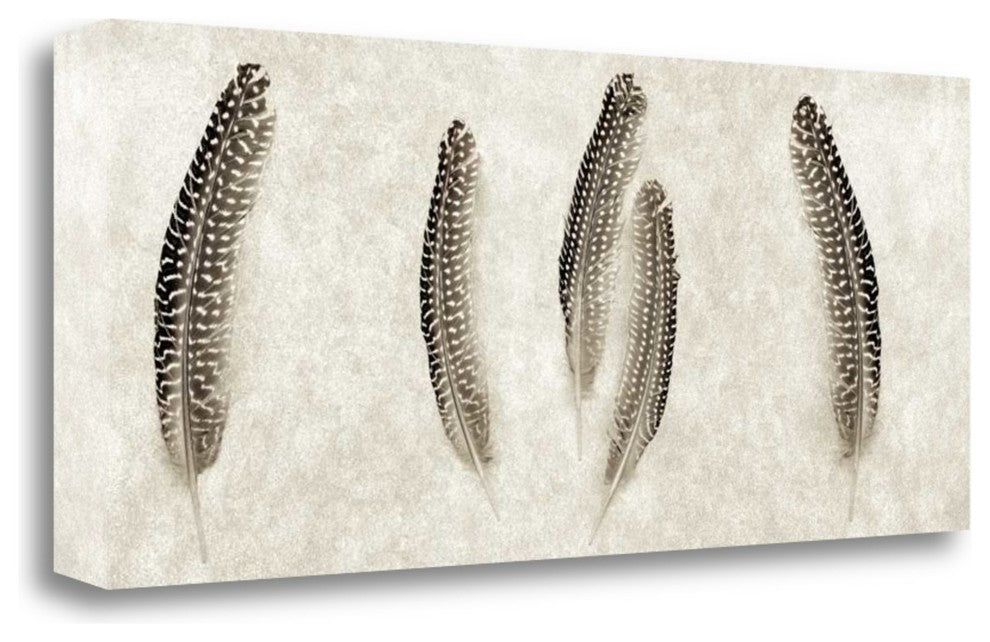 "Feather Panel - 3" By Alan Blaustein, Giclee Print on Gallery Wrap Canvas
