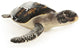 Sea Turtle Sculpture (L)