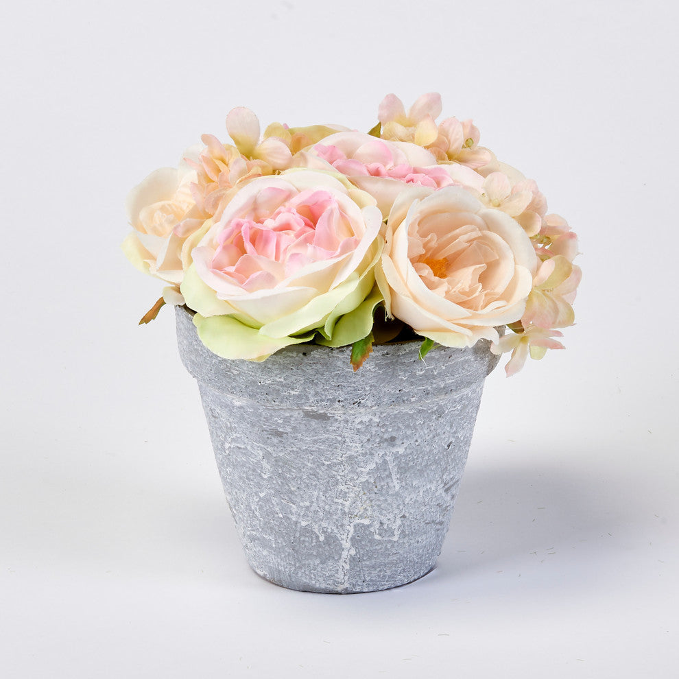 6" Roses In 6" Ceramic Pot