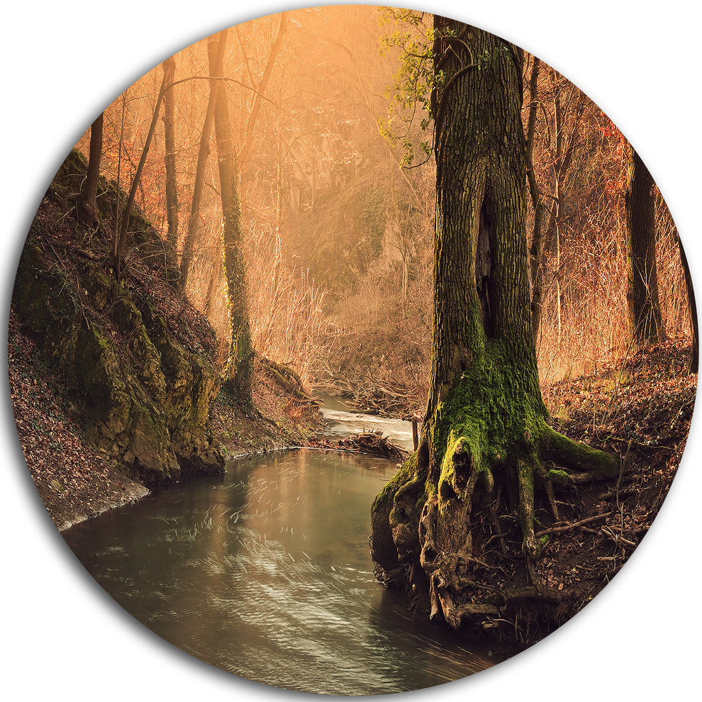 Wild Creek In National Park, Modern Forest Round Wall Art, 11"