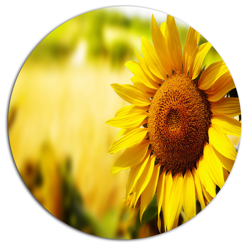 Beautiful Tuscany Sunflower, Flower Disc Metal Wall Art, 23"