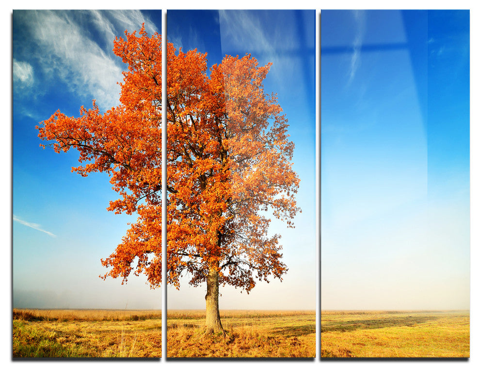 "Colorful Lonely Fall Tree" Photo Metal Wall Art, 3 Panels, 36"x28"