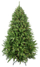 Northern Frasier Tree 1628 Tips 600 Clear Lights, 7.5'x57"