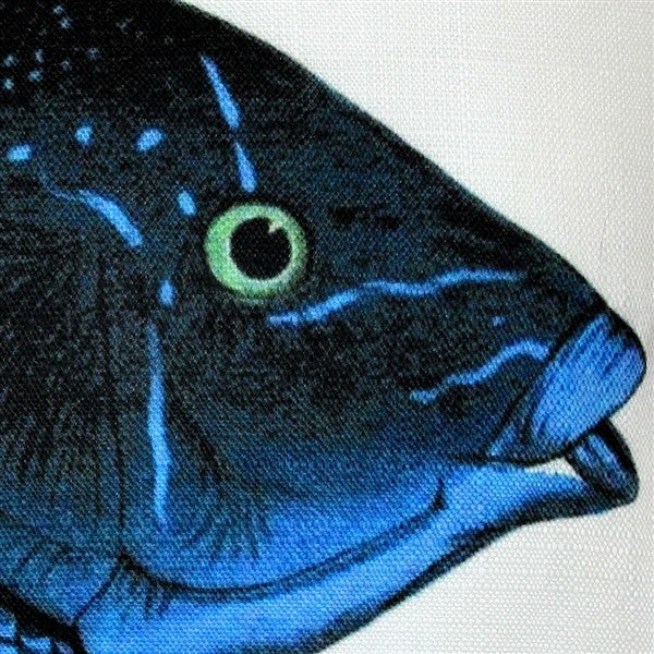 Pillow Decor - Blue Wrasse Fish Pillow 12 x 20