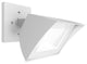 WAC Lighting Endurance LED Outdoor Flood Light, White, Cool White 5000k