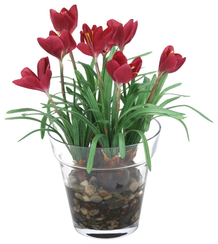 Waterlook® Mauve Crocus in Glass Flower Pot