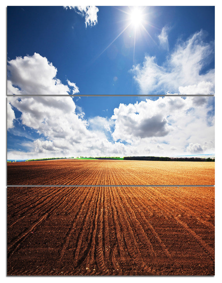 "Expansive Field Under White Clouds" Metal Wall Art, 3 Panels, 28"x36"