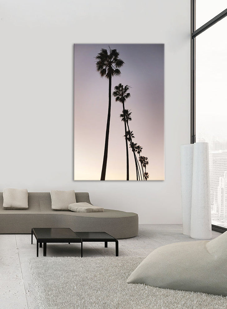 "Palm Tree Silhouettes" Fine Art Canvas Print, 48"x72"
