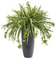 33" Spider Artificial Plant, Cylinder Planter