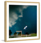 "Lone White Boat" Framed Print by Karolis Janulis