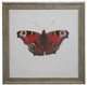 Bright Red Butterfly, Vintage Cream And Gold Moulding
