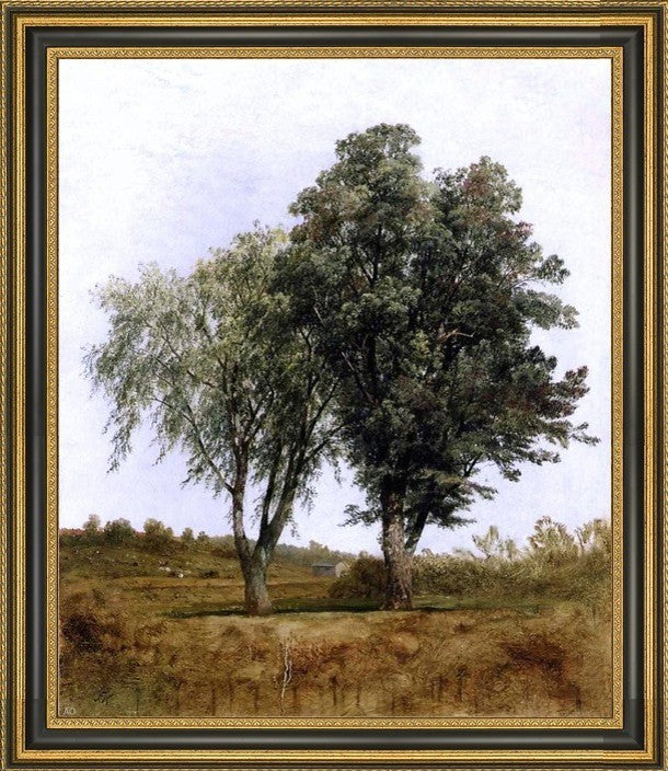 John Frederick Kensett a Study of Trees Framed Premium Canvas Print, 20"x25"