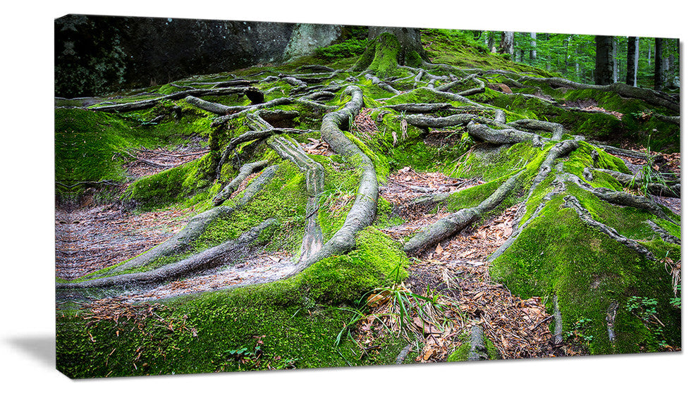 "Green Wild Deep Moss Forest" Landscape Art Print Canvas, 32"x16"