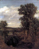 John Constable Dedham Vale Premium Canvas Print