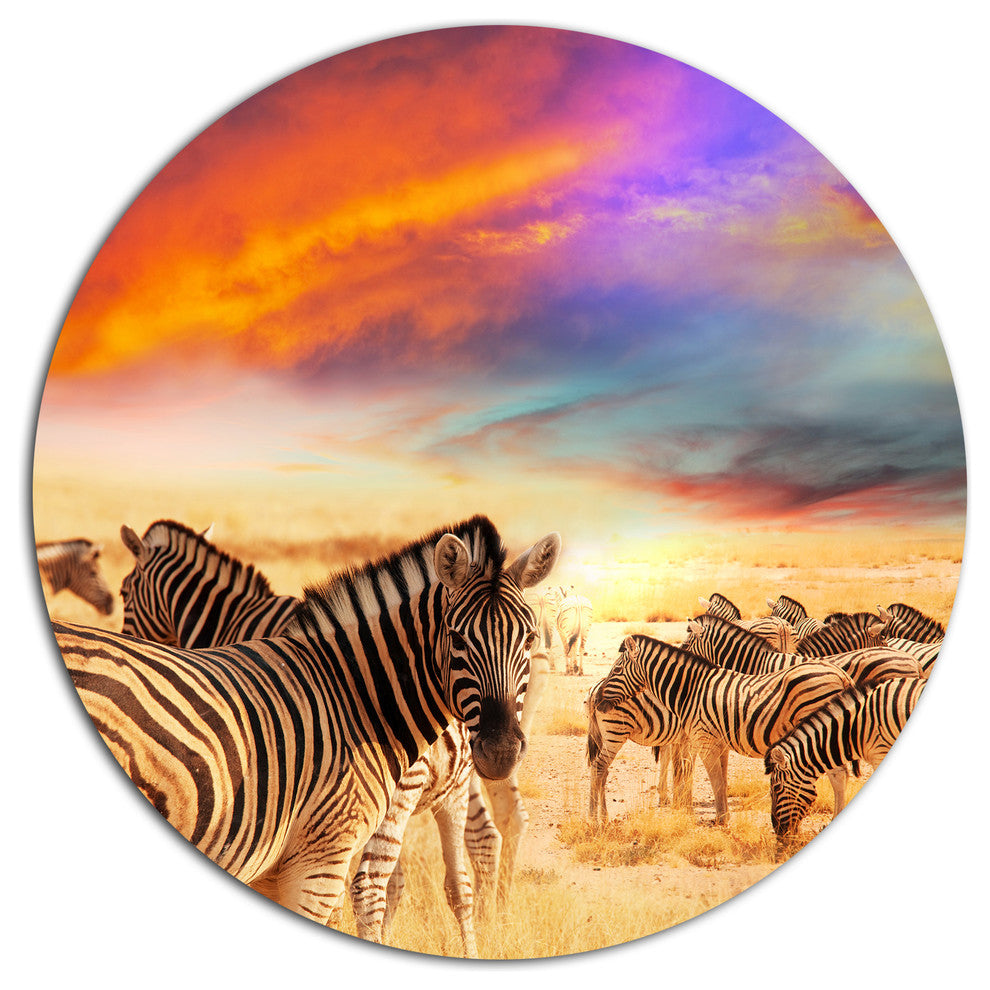 Zebra Herd Under Colorful Sunset Sky, Animal Art Disc Metal Art, 36"