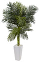 5' Golden Cane Palm Artificial Tree, White Tower Planter