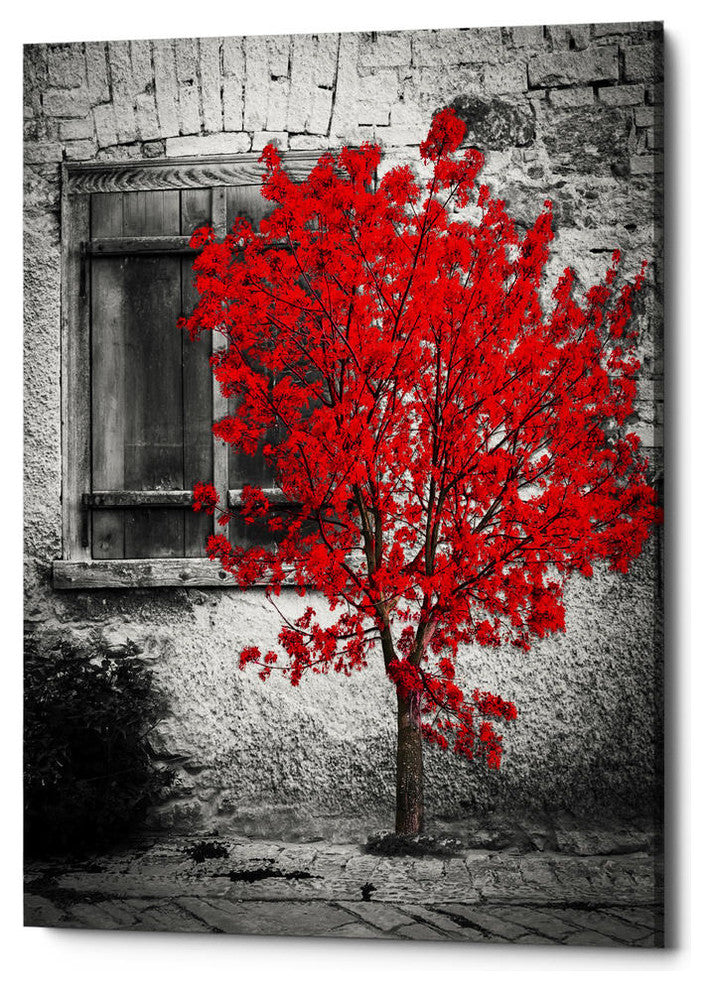 Epic Graffiti "Passion" Giclee Canvas Wall Art, 26"x34"