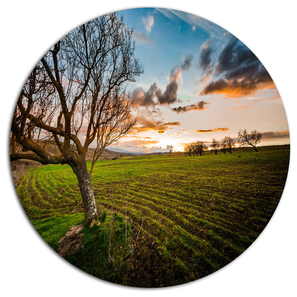 Sunset In Sardinia Grassland, Landscape Art Disc Metal Wall Art, 23"