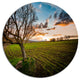 Sunset In Sardinia Grassland, Landscape Art Disc Metal Wall Art, 23"