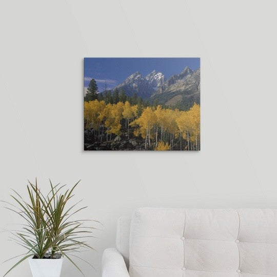 "Wyoming, Grand Teton National Park" Canvas Art, 20"x16"x1.25"