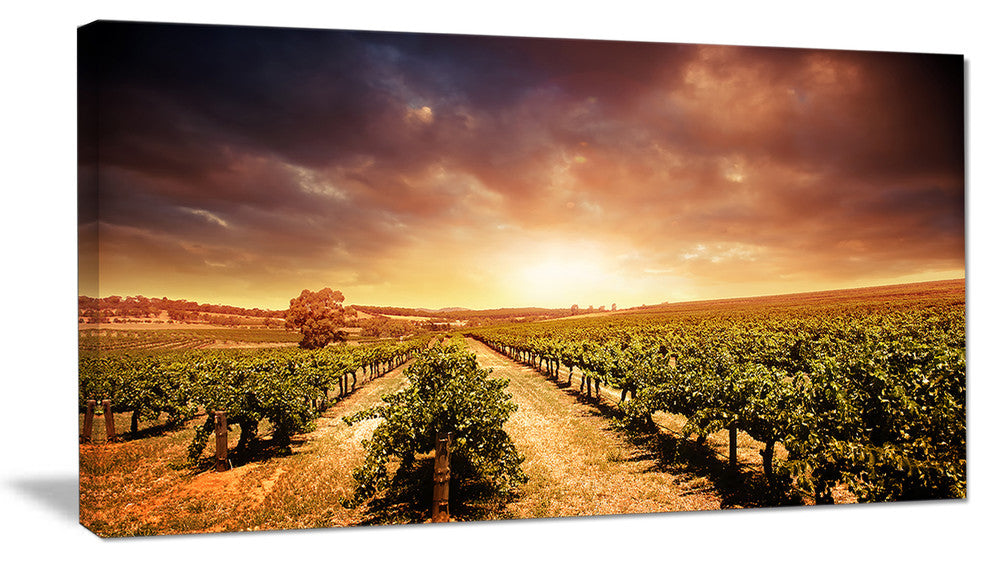 "Vineyard With Stormy Sunset" Wall Art Landscape, 40"x20"