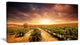 "Vineyard With Stormy Sunset" Wall Art Landscape, 40"x20"