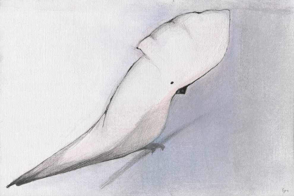 "White Cockatoo" Painting Print on Wrapped Canvas, 60"x40"