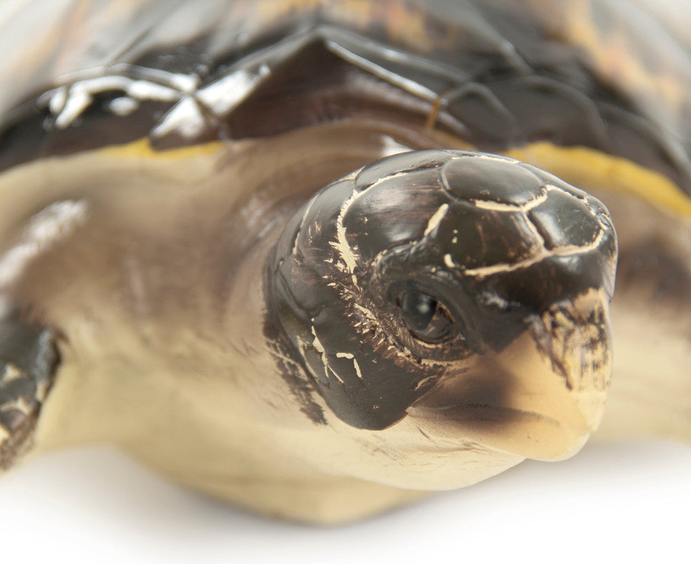 Sea Turtle Sculpture (L)