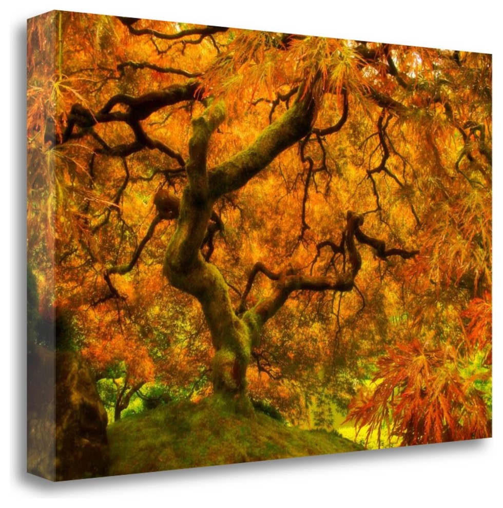 "Wild Fire" By Natalie Mikaels,Ready to Hang Giclee Print on Gallery Wrap Canvas