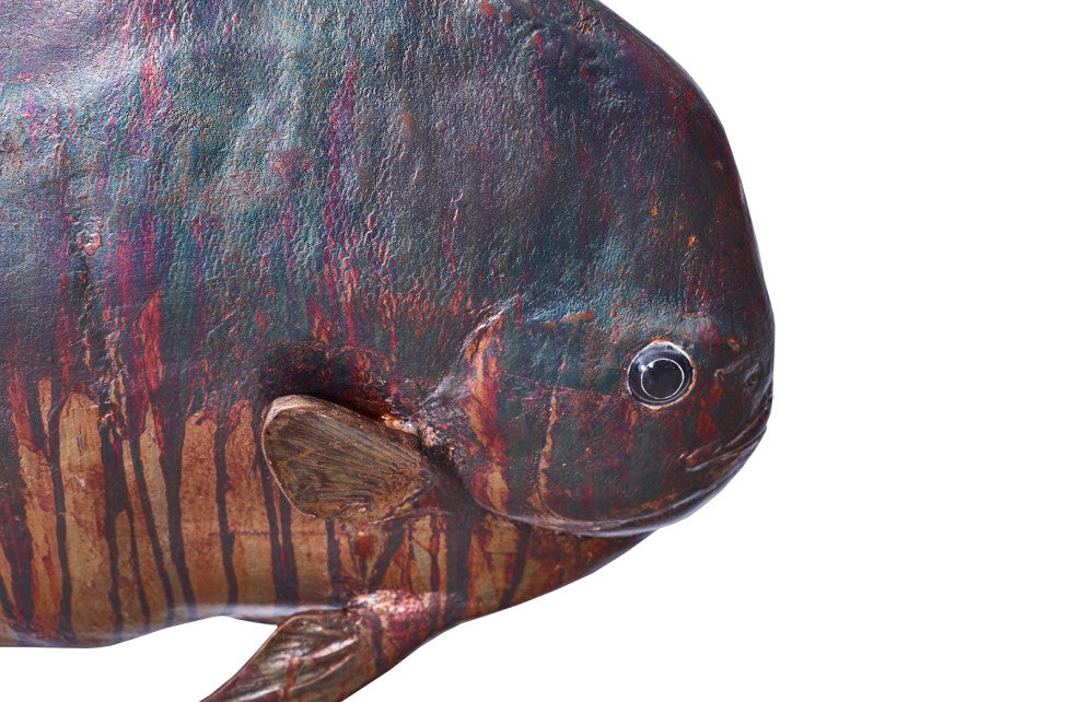 Australian Batfish Fish Wall Sculpture, Copper Patina
